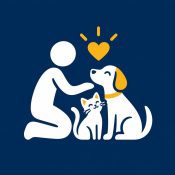 home_banner_03
